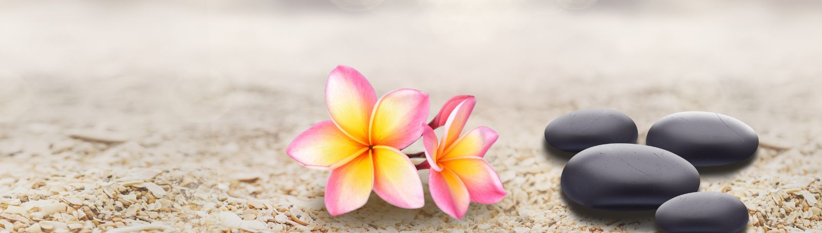 How to Start a Successful Spa Business in Thailand